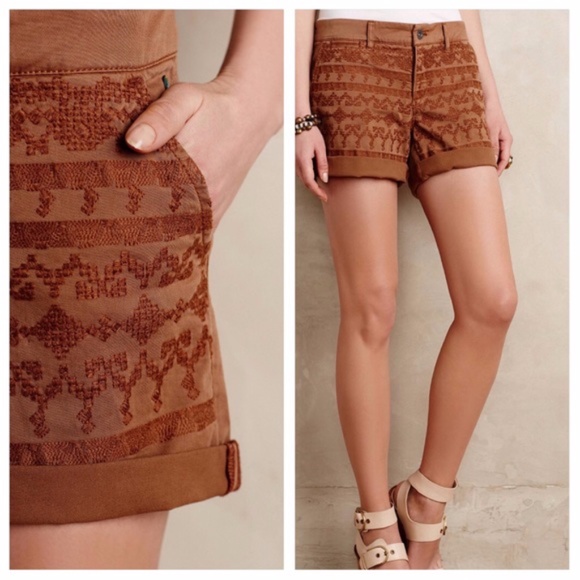 Anthropologie Brown Embroidered Shorts sz 29, 26, 27 - Picture 1 of 8